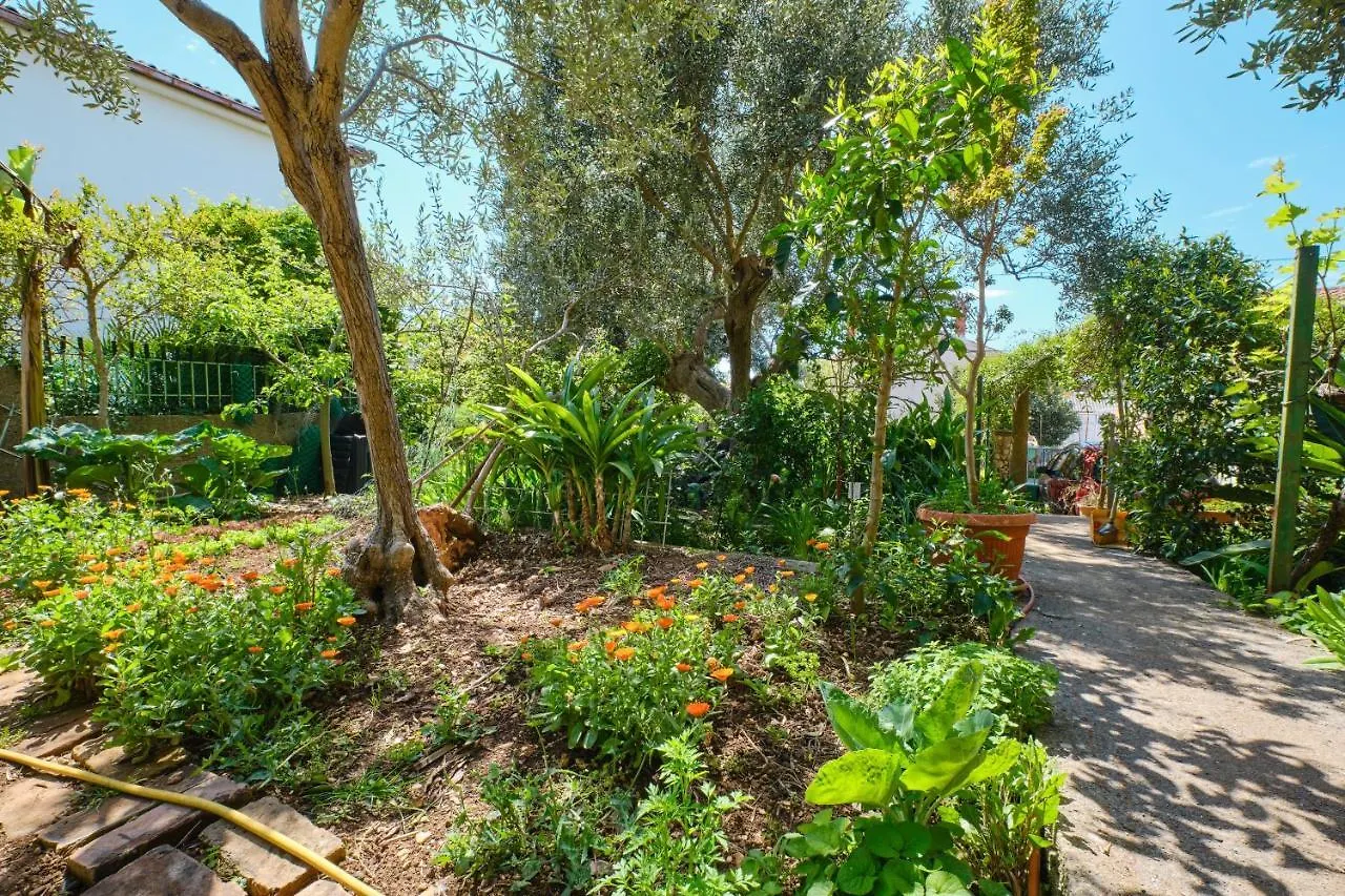 Apartments With A Parking Space Mali Losinj 0*,  Croatia
